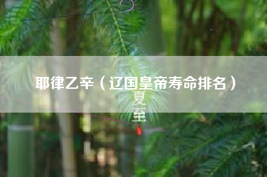 耶律乙辛（辽国皇帝寿命排名）