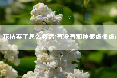 花枯萎了怎么救活(有没有那种很虐很虐)