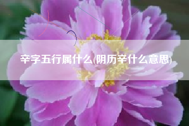 辛字五行属什么(阴历辛什么意思)