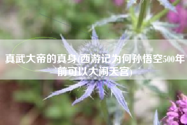 真武大帝的真身(西游记为何孙悟空500年前可以大闹天宫)