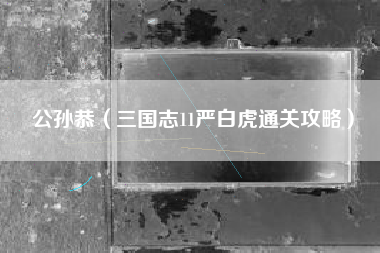 公孙恭（三国志11严白虎通关攻略）