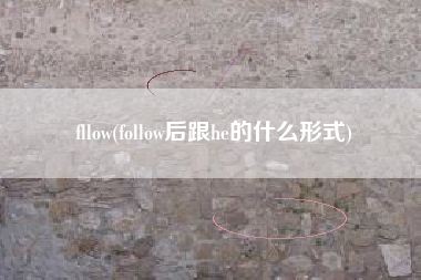 fllow(follow后跟he的什么形式)