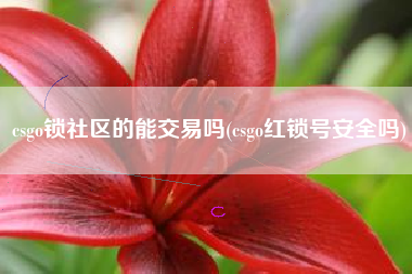 csgo锁社区的能交易吗(csgo红锁号安全吗)