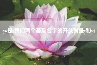 yw是(我们两个基友名字的开头就是y和w)