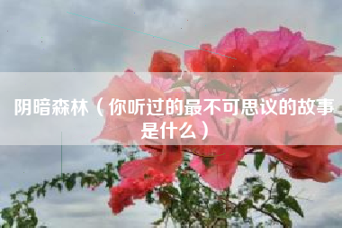 阴暗森林（你听过的最不可思议的故事是什么）