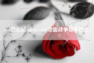 cod怎么玩cod16(cod16地面战争排不进去)