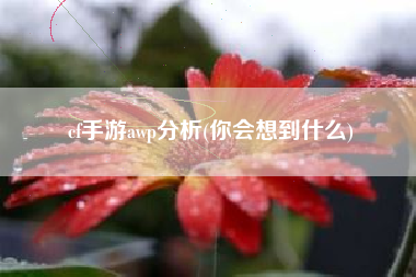 cf手游awp分析(你会想到什么)