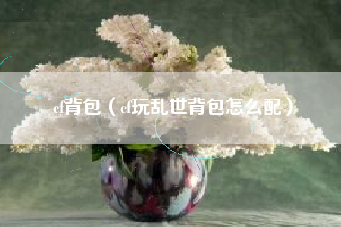 cf背包（cf玩乱世背包怎么配）