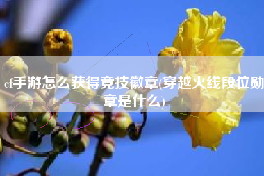 cf手游怎么获得竞技徽章(穿越火线段位勋章是什么)