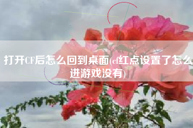 打开CF后怎么回到桌面(cf红点设置了怎么进游戏没有)