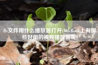 flv文件用什么播放器打开(MacBook上有哪些好用的视频播放器呢)