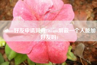 steam好友申请同意(steam屏蔽一个人能加好友吗)