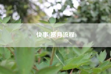 快事(赏月流程)