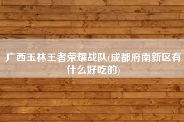 广西玉林王者荣耀战队(成都府南新区有什么好吃的)