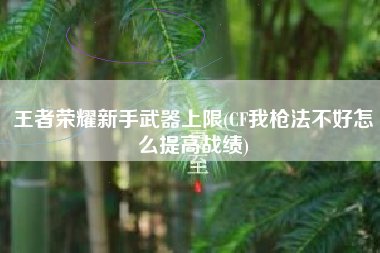 王者荣耀新手武器上限(CF我枪法不好怎么提高战绩)