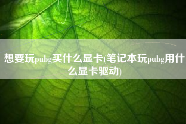 想要玩pubg买什么显卡(笔记本玩pubg用什么显卡驱动)