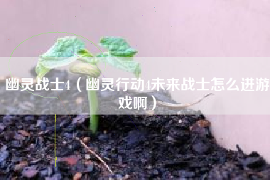 幽灵战士4（幽灵行动4未来战士怎么进游戏啊）