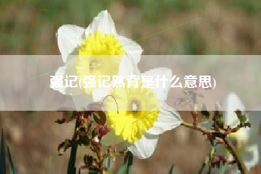 强记(强记熟背是什么意思)