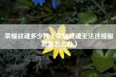 荣耀战魂多少钱（荣耀战魂无法连接服务器怎么办）