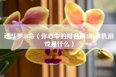 魂斗罗30命（你心中的排名前3的单机游戏是什么）