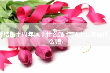 结婚十周年属于什么婚(结婚十五年是什么婚)