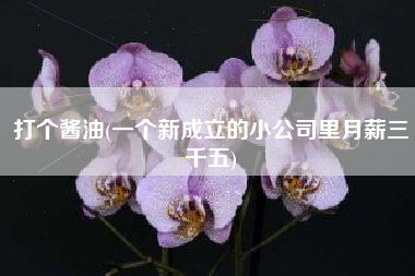 打个酱油(一个新成立的小公司里月薪三千五)