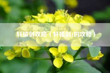 轩辕剑攻略（轩辕剑1的攻略）