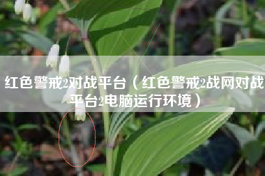 红色警戒2对战平台（红色警戒2战网对战平台2电脑运行环境）