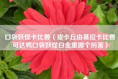 口袋妖怪卡比兽（皮卡丘由基拉卡比兽可达鸭口袋妖怪白金里哪个厉害）