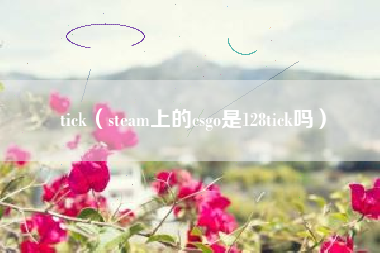 tick（steam上的csgo是128tick吗）