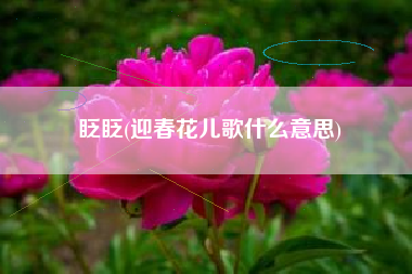 眨眨(迎春花儿歌什么意思)