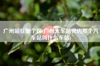 广州站在哪个区(广州火车站旁边那个汽车站叫什么车站)