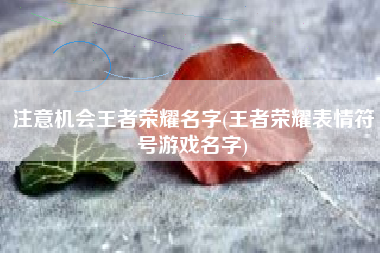 注意机会王者荣耀名字(王者荣耀表情符号游戏名字)