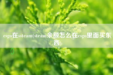 csgo在ssteam(steam余额怎么在csgo里面买东西)