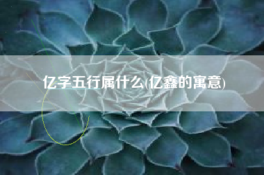 亿字五行属什么(亿鑫的寓意)