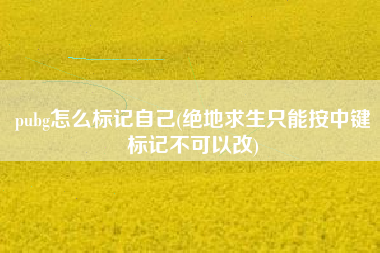 pubg怎么标记自己(绝地求生只能按中键标记不可以改)