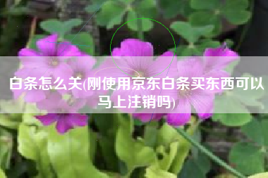 白条怎么关(刚使用京东白条买东西可以马上注销吗)