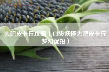 去吧皮卡丘攻略（口袋妖怪去吧皮卡丘梦幻配招）