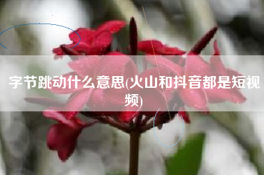 字节跳动什么意思(火山和抖音都是短视频)