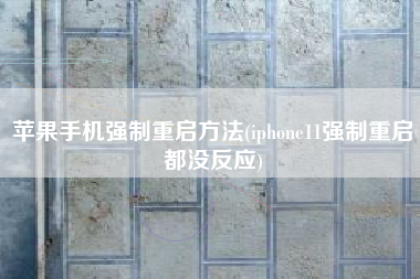 苹果手机强制重启方法(iphone11强制重启都没反应)