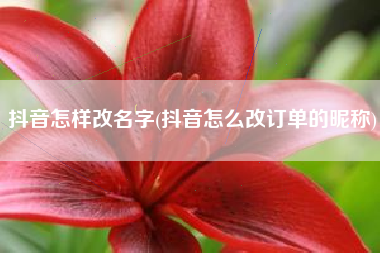 抖音怎样改名字(抖音怎么改订单的昵称)