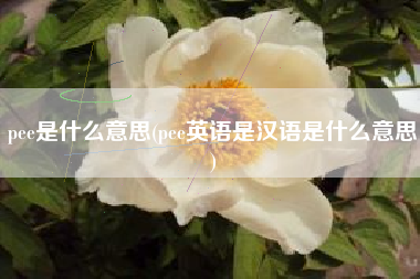 pee是什么意思(pee英语是汉语是什么意思)