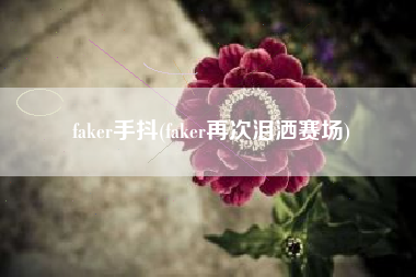 faker手抖(faker再次泪洒赛场)