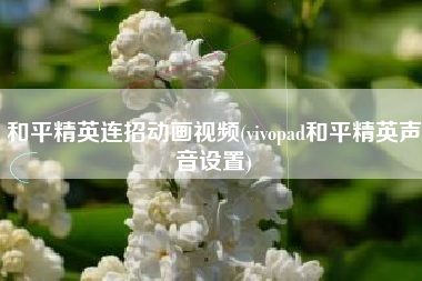 和平精英连招动画视频(vivopad和平精英声音设置)