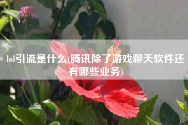 lol引流是什么(腾讯除了游戏聊天软件还有哪些业务)