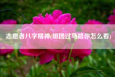 志愿者八字精神(组团过马路你怎么看)