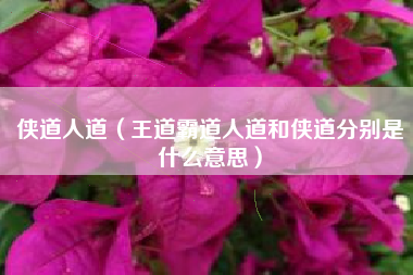 侠道人道（王道霸道人道和侠道分别是什么意思）