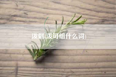 泼剌(泼可组什么词)