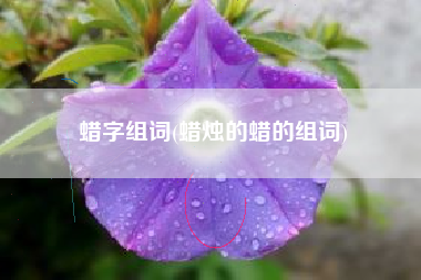 蜡字组词(蜡烛的蜡的组词)