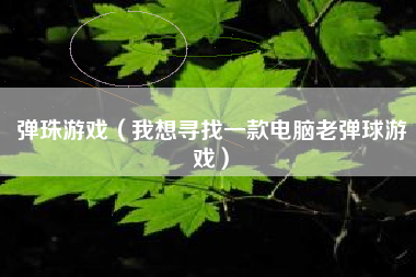 弹珠游戏（我想寻找一款电脑老弹球游戏）